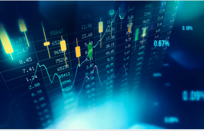 Investment Focus​