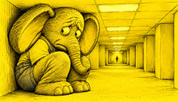 CoverImage_SusElephant_v01